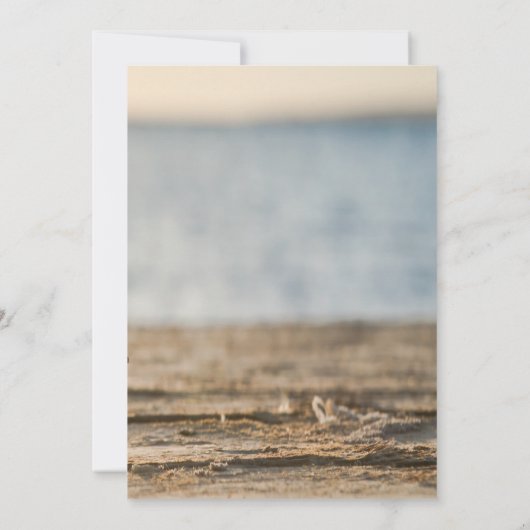 Sea stars Sand Beach Save the Date (Rückseite)