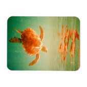 Sea Turtle 3"x4" Foto Magnet (Horizontal)