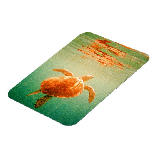 Sea Turtle 3"x4" Foto Magnet (Linke Seite)