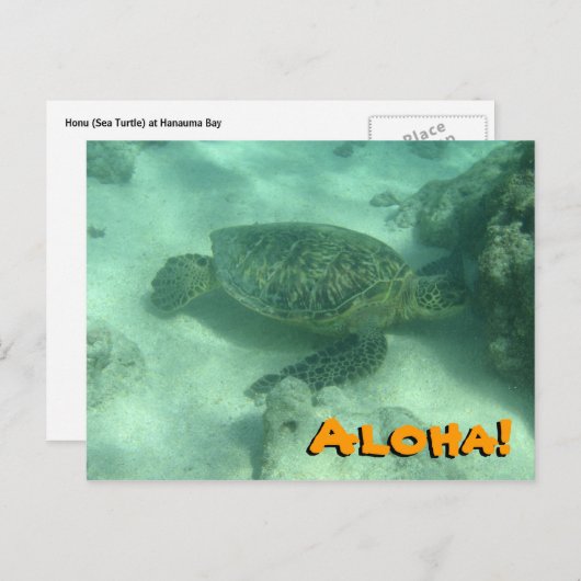 Sea Turtle Aloha von Hawaii Postcard Postkarte (Vorne/Hinten)