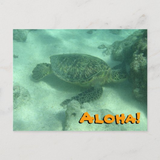 Sea Turtle Aloha von Hawaii Postcard Postkarte (Vorderseite)