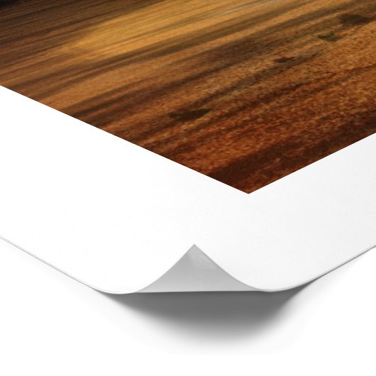 Sea Turtle at Sunset Poster (Ecke)