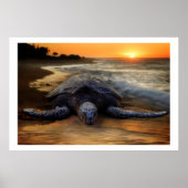 Sea Turtle at Sunset Poster (Vorne)