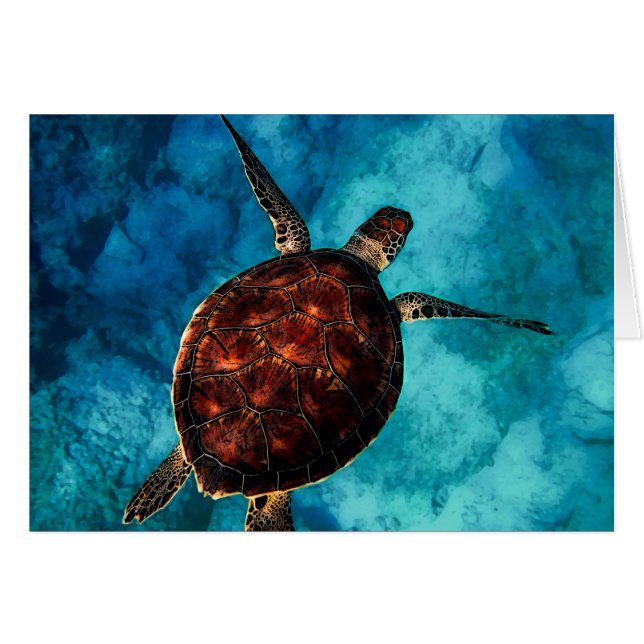 Sea Turtle Beauty (Vorderseite (Horizontal))
