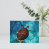 Sea Turtle Beauty Postkarte (Stehend Vorderseite)