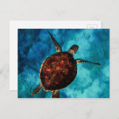 Sea Turtle Beauty Postkarte (Vorne/Hinten)