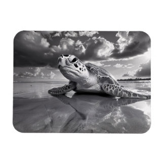 Sea Turtle Black and White Art flexibel Magnet
