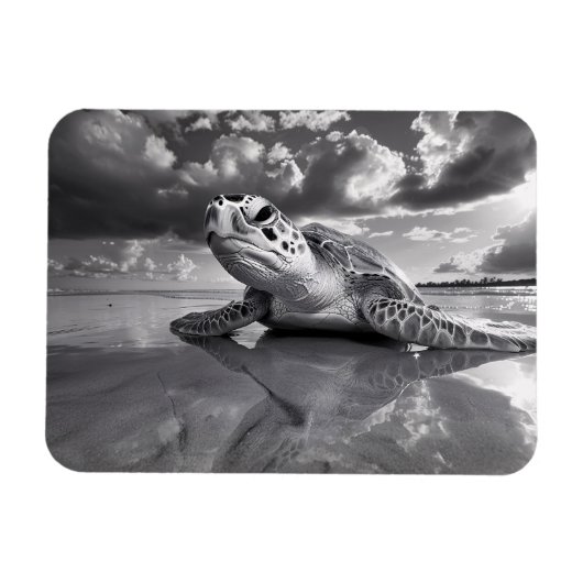Sea Turtle Black and White Art flexibel Magnet (Horizontal)