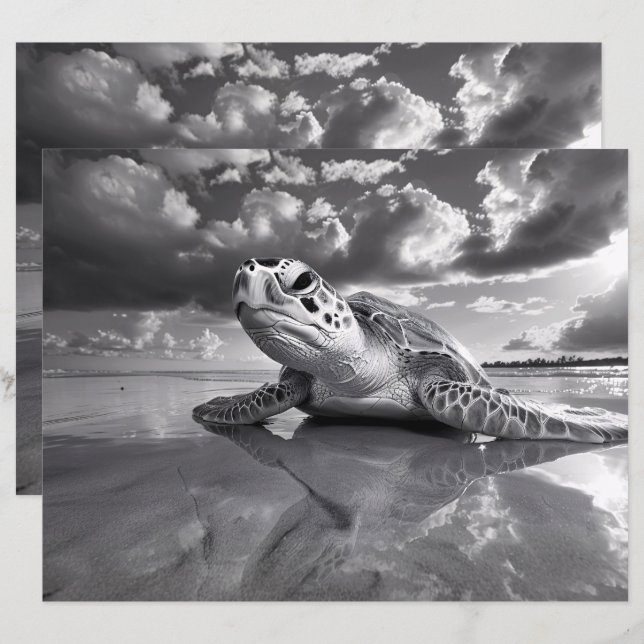 Sea Turtle Black and White Scrapbook Paper (Vorne/Hinten)