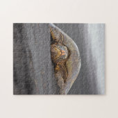 Sea Turtle Black Sand Beach Hawaii - 11x14 -252 pc Puzzle (Horizontal)