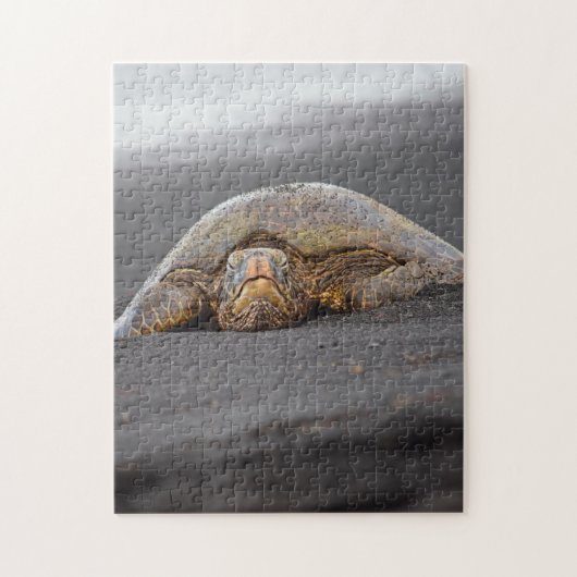 Sea Turtle Black Sand Beach Hawaii - 11x14 -252 pc Puzzle (Vertikal)