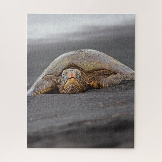 Sea Turtle Black Sand Beach Hawaii - 16x20- 520 pc Puzzle (Vertikal)