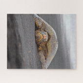 Sea Turtle Black Sand Beach Hawaii - 16x20- 520 pc Puzzle (Horizontal)