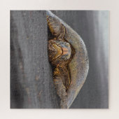 Sea Turtle Black Sand Beach Hawaii - 20x20- 676 pc Puzzle (Horizontal)