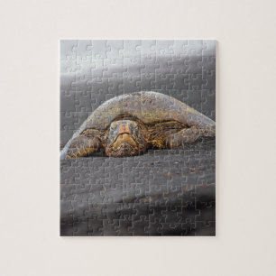Sea Turtle Black Sand Beach Hawaii 8x10 - 110 pc Puzzle