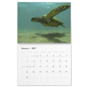 Sea Turtle Calendar by Brad Scott Fotografy Kalender (Feb 2027)
