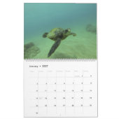 Sea Turtle Calendar by Brad Scott Fotografy Kalender (Jan 2027)