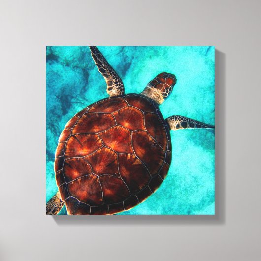 Sea Turtle Canvas Print Leinwanddruck (Vorderseite)