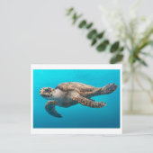 Sea Turtle Foto Postcard Postkarte (Stehend Vorderseite)