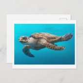Sea Turtle Foto Postcard Postkarte (Vorne/Hinten)