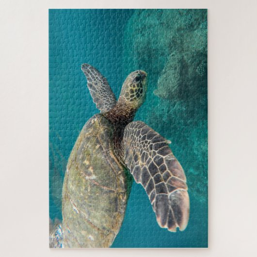 Sea Turtle Jigsaw Puzzle (Vertikal)
