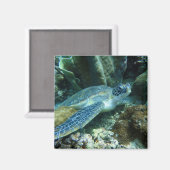 Sea Turtle Magnet (Vorderseite/Rückseite)