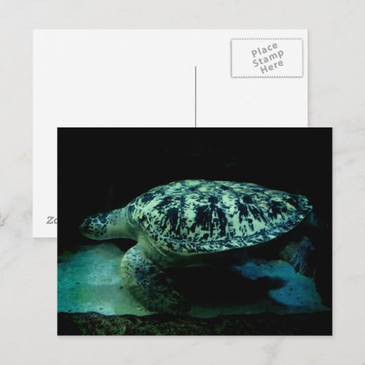 Sea Turtle Post Card Postkarte (Vorne/Hinten)