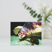 Sea Turtle Postcard Postkarte (Stehend Vorderseite)