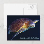Sea Turtle Postcard Postkarte (Vorne/Hinten)