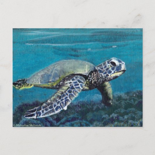 Sea Turtle Postcard Postkarte (Vorderseite)