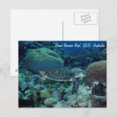 Sea Turtle Postcard Postkarte (Vorne/Hinten)
