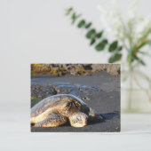 Sea Turtle Postcard Postkarte (Stehend Vorderseite)