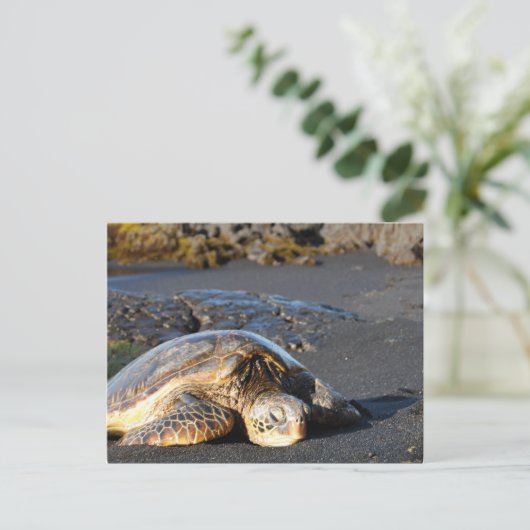 Sea Turtle Postcard Postkarte (Stehend Vorderseite)