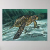 Sea Turtle Poster (Vorne)