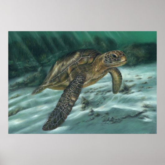 Sea Turtle Poster (Vorne)