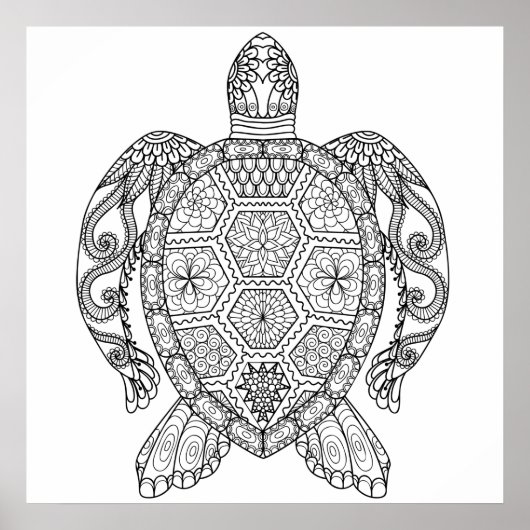 SEA TURTLE POSTER (Vorne)