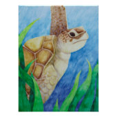 Sea Turtle Poster (Vorderseite)
