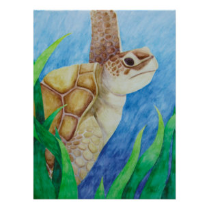 Sea Turtle Poster