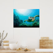 Sea Turtle Poster (Küche)