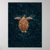 Sea Turtle Print Turtle Poster Sea Print Sea Wall (Vorne)