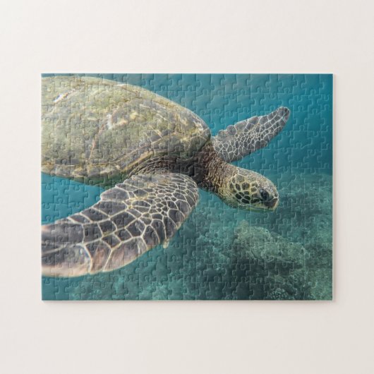 Sea Turtle Puzzle (Horizontal)