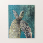 Sea Turtle Puzzle (Vertikal)