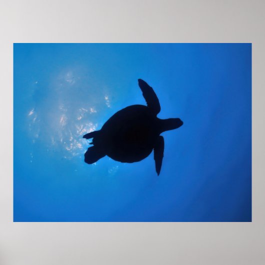 Sea Turtle Silouette Poster (Vorne)
