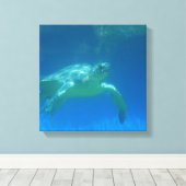 Sea Turtle Swim Canvas Print Leinwanddruck (Insitu (Holzboden))