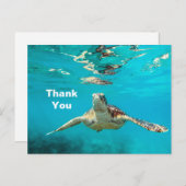 Sea Turtle Vielen Dank Postkarte (Vorne/Hinten)