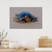 Sea Turtle Yawning Poster (Küche)