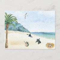 Sea Turtles Baby Hatcolor