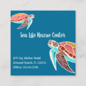 Sea Turtles Illustrierte Visitenkarten Quadratische Visitenkarte (Vorderseite)