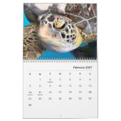Sea Turtles Wall Calendar Kalender (Feb 2027)