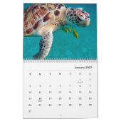 Sea Turtles Wall Calendar Kalender (Jan 2027)